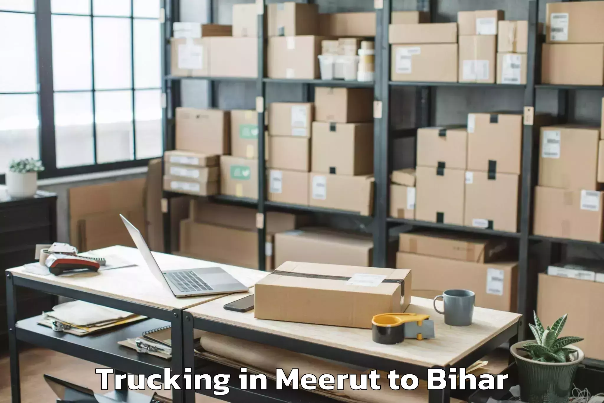 Book Meerut to Madhepura Trucking Online